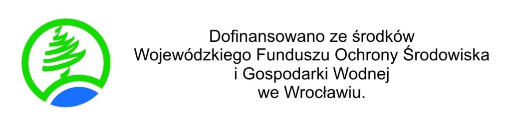 fundusz_1181